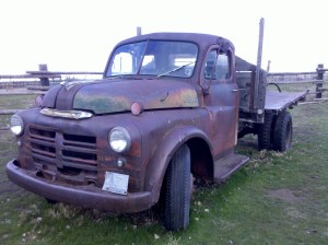 IMG_20130324_135629 (1)