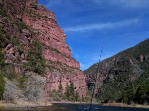 IMG_20150329_160148_420