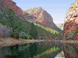 Up%20Canyon%20from%20Shark%20Alley,