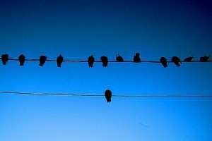 2076450897_be1b8ace7c_z