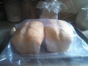 Fresh Sourdough. Yum!