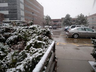 IMG_20170323_111904096