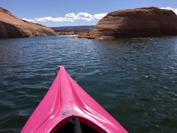 17796511_1412362068824577_7133037606732464184_n