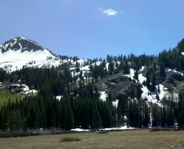 IMG_20170604_145045-1